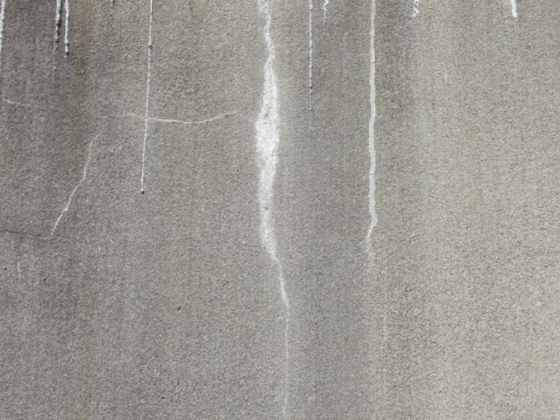【外壁の黒ずみ】雨だれができる原因と、外観の「美」を保つための対策