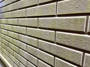 外壁に広がるコケ・藻の汚染