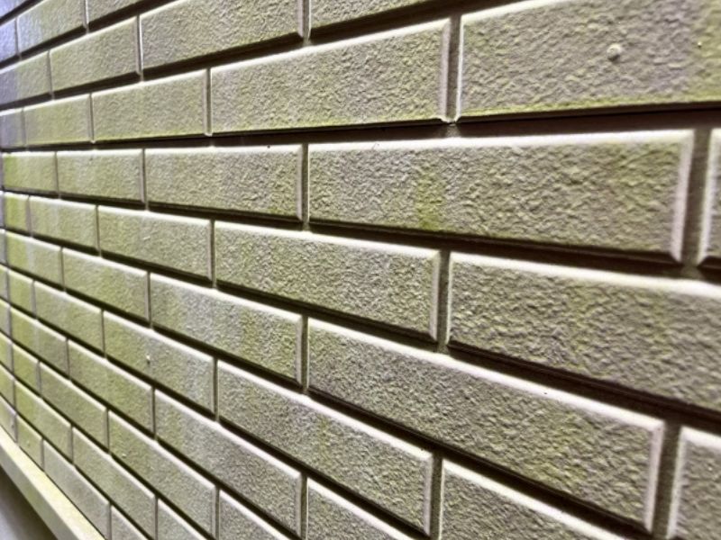 外壁の緑色の汚れ、正体はコケ？発生する原因ときれいに保つ対策法