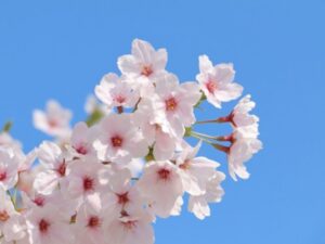 春の外壁塗装・特徴