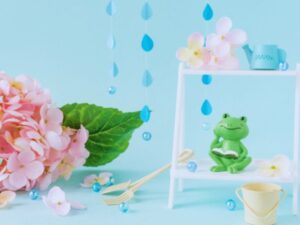 梅雨時期の外壁塗装・特徴