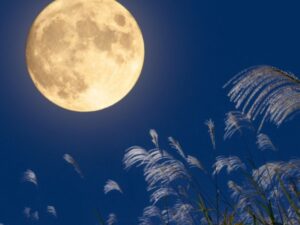 秋の外壁塗装・特徴