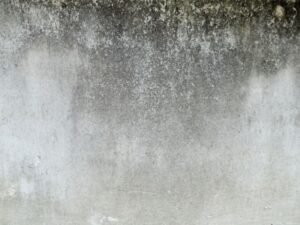 白い外壁に付いた黒ずみ